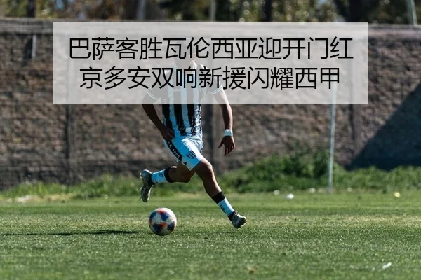 ba-sa-ke-sheng-wa-lun-xi-ya-ying-kai-men-hong-jing-duo-an-shuang-xiang-xin-yuan-shan-yao-xi-jia-2-382.jpg